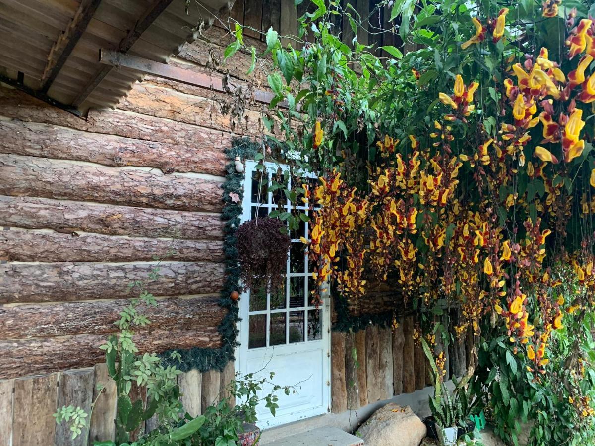 Hoa Son Village Dalat Exteriör bild